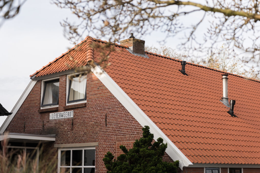 3-Visulions-MDC05872